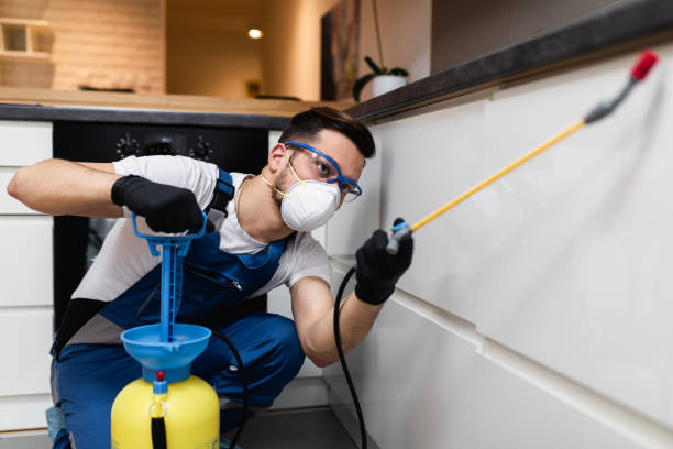 Best Local Pest Control Services  in Conley, GA