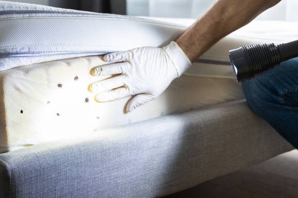 Best Pest Inspection Near Me  in Conley, GA