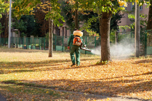 Professional Pest Control in Conley, GA
