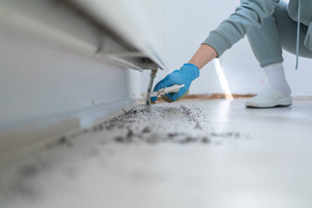 Best Commercial Pest Control Services  in Conley, GA